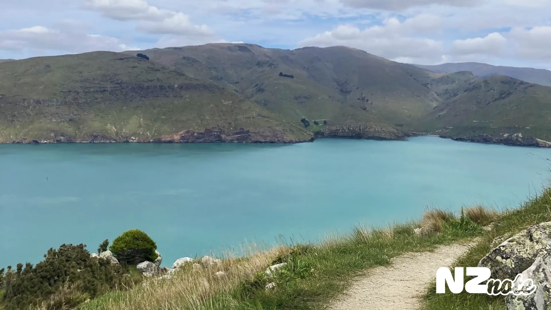 羊に会えるクライストチャーチの穴場トラック！Awaroa / Godley Head