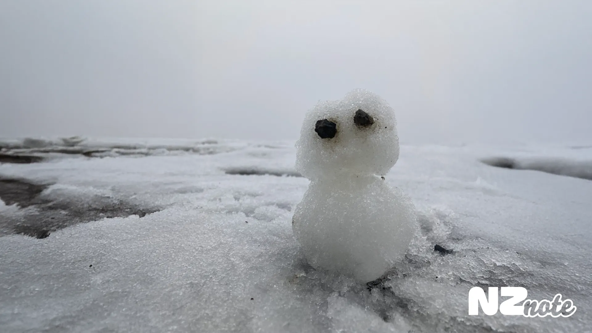 ニュージーランドって雪降るの？意外と知らない冬の魅力