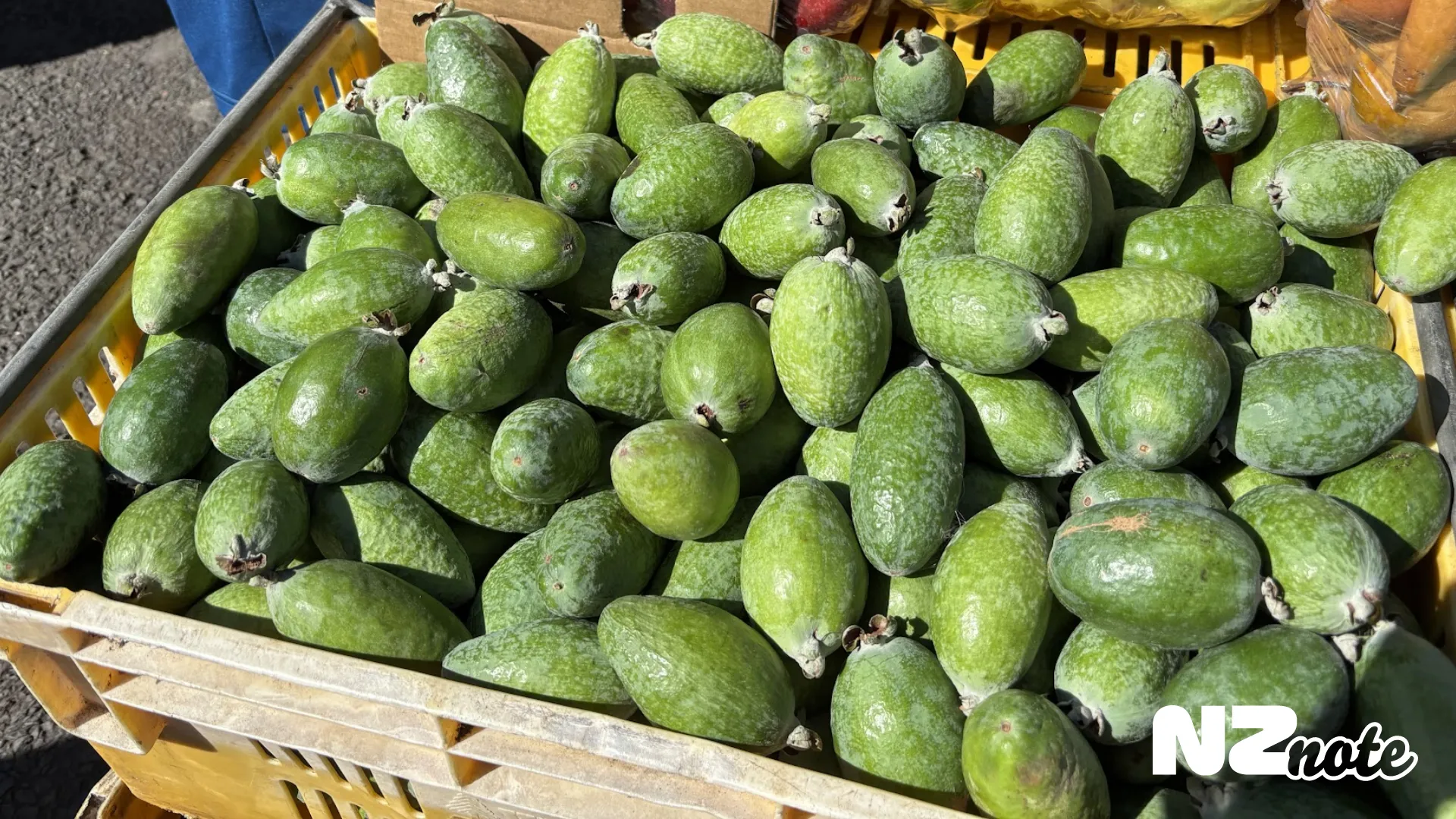 フェイジョアって知ってる？ニュージーランドで今が旬の不思議フルーツ