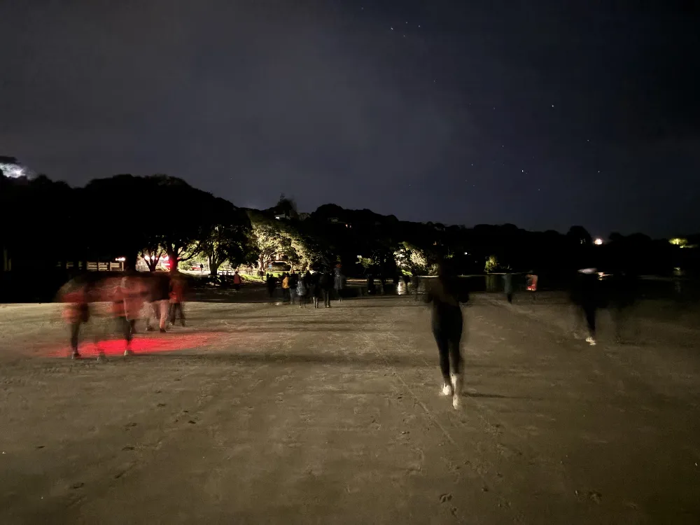 ワイヘキ島のマタリキイベント