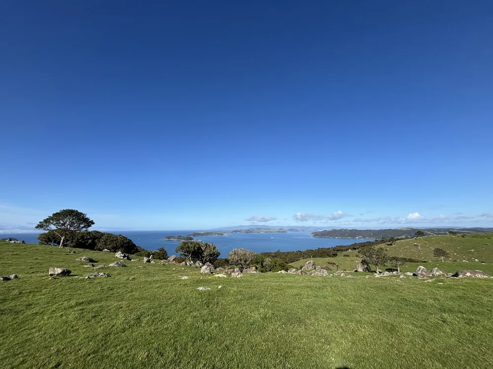 ワイヘキ島Stony Batter Boulder Field