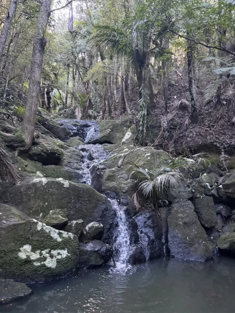 ワイヘキ島Cascades Waterfall