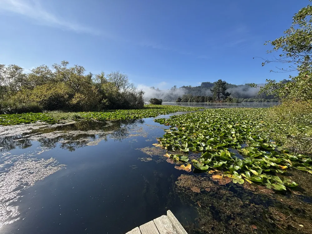 Dunham's Point Reserve