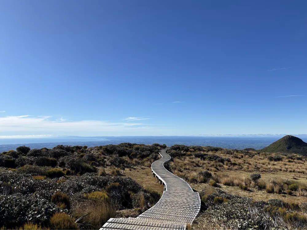 北島タラナキ山の人気トレッキングPouakai Circuit