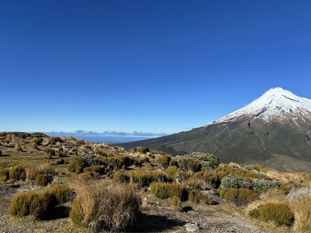 北島タラナキ山の人気トレッキングPouakai Circuit