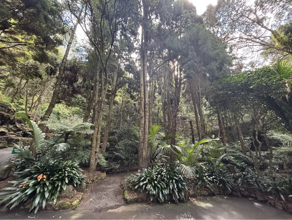 エデンガーデン