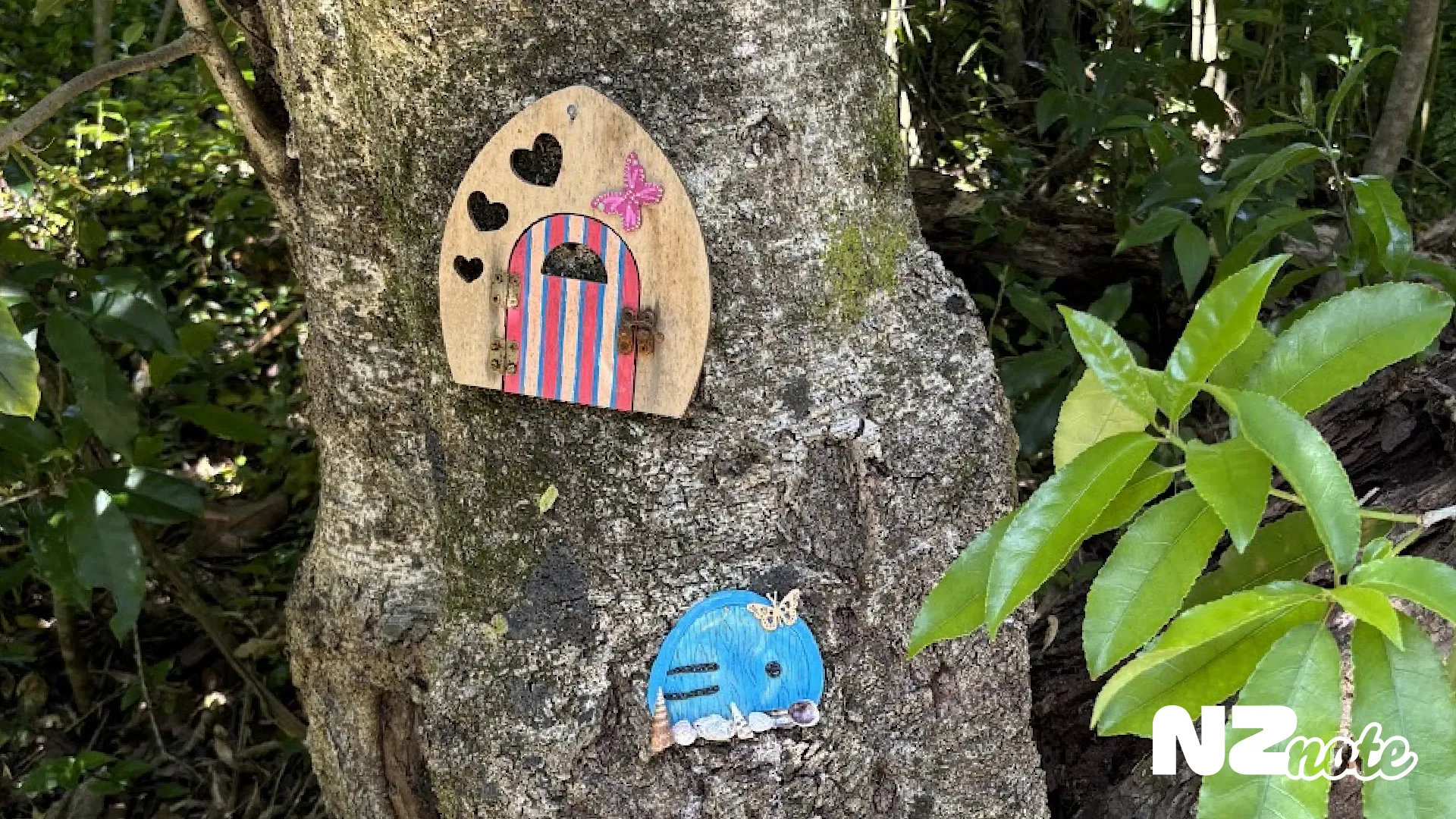 オークランド北部にある妖精の住んでいる森を探検