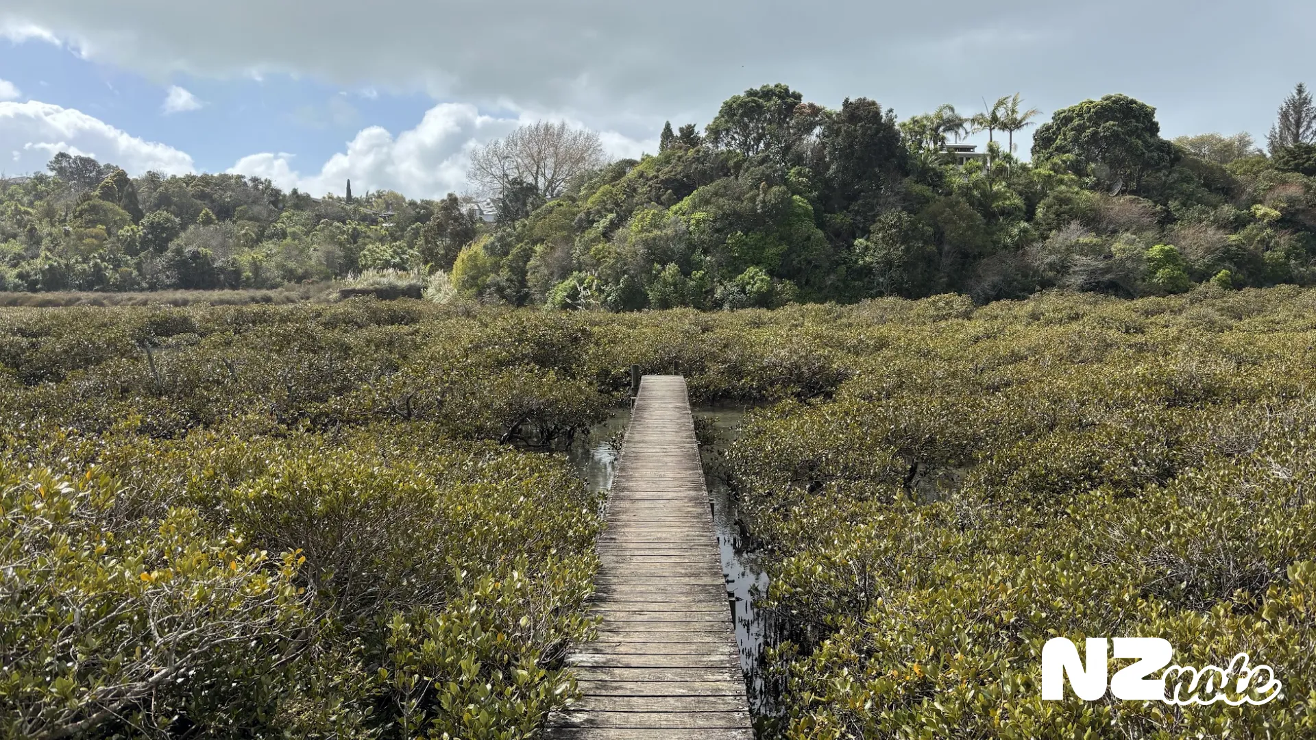 パクランガでマングローブを眺めながらのんびりウォーク