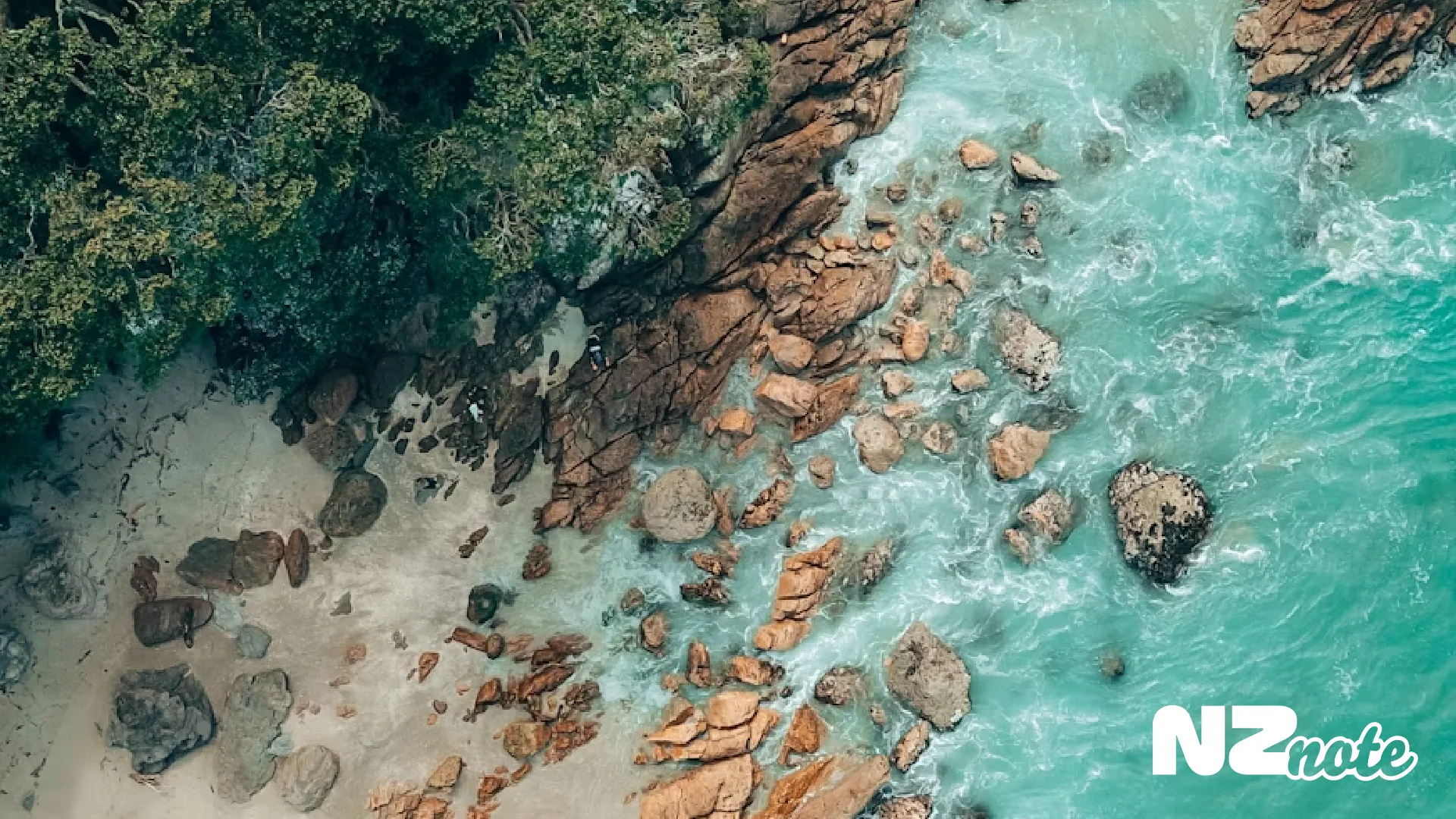 マオリだけじゃない！ニュージーランドの知られざる先住民モリオリ族とは？