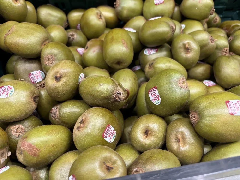 レッドキウイの見た目